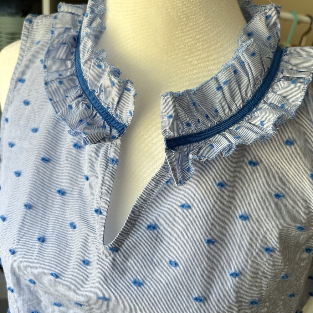 Talbots | Blue Stripe + Clipped Swiss Dot sleeveless blouse size Small Petite